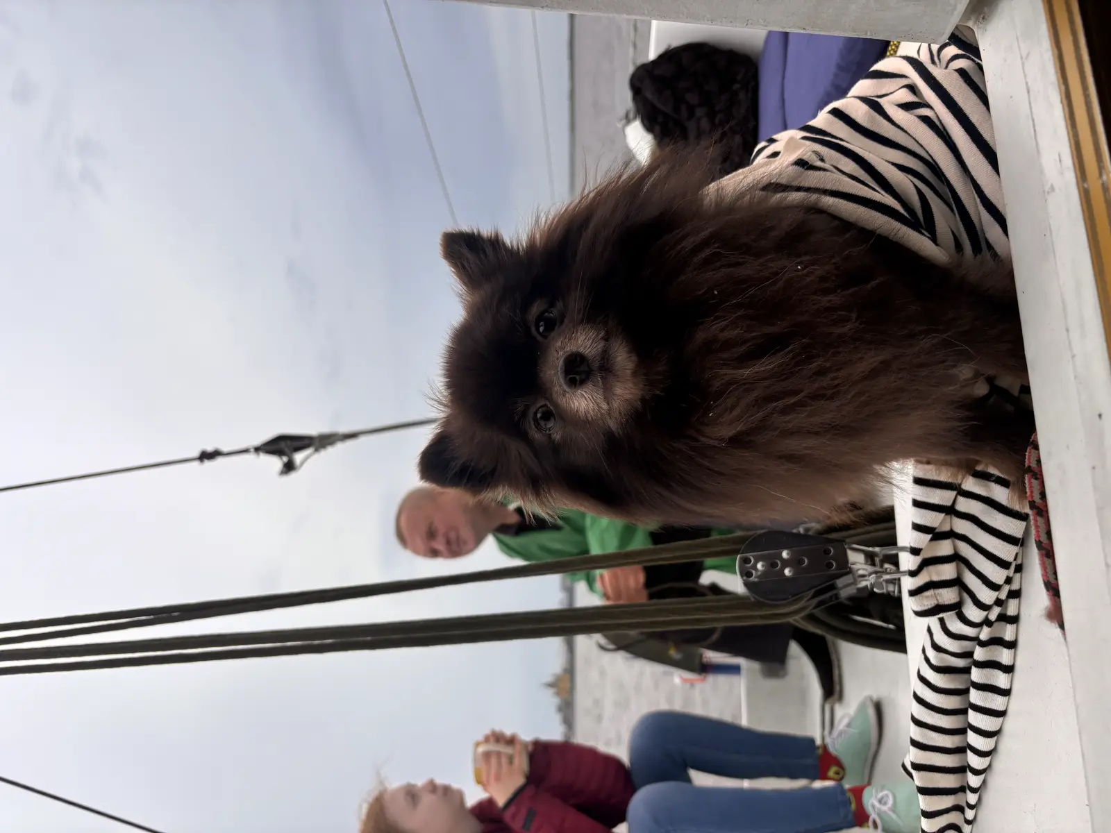 Аренда яхты в Нижнем Новгороде